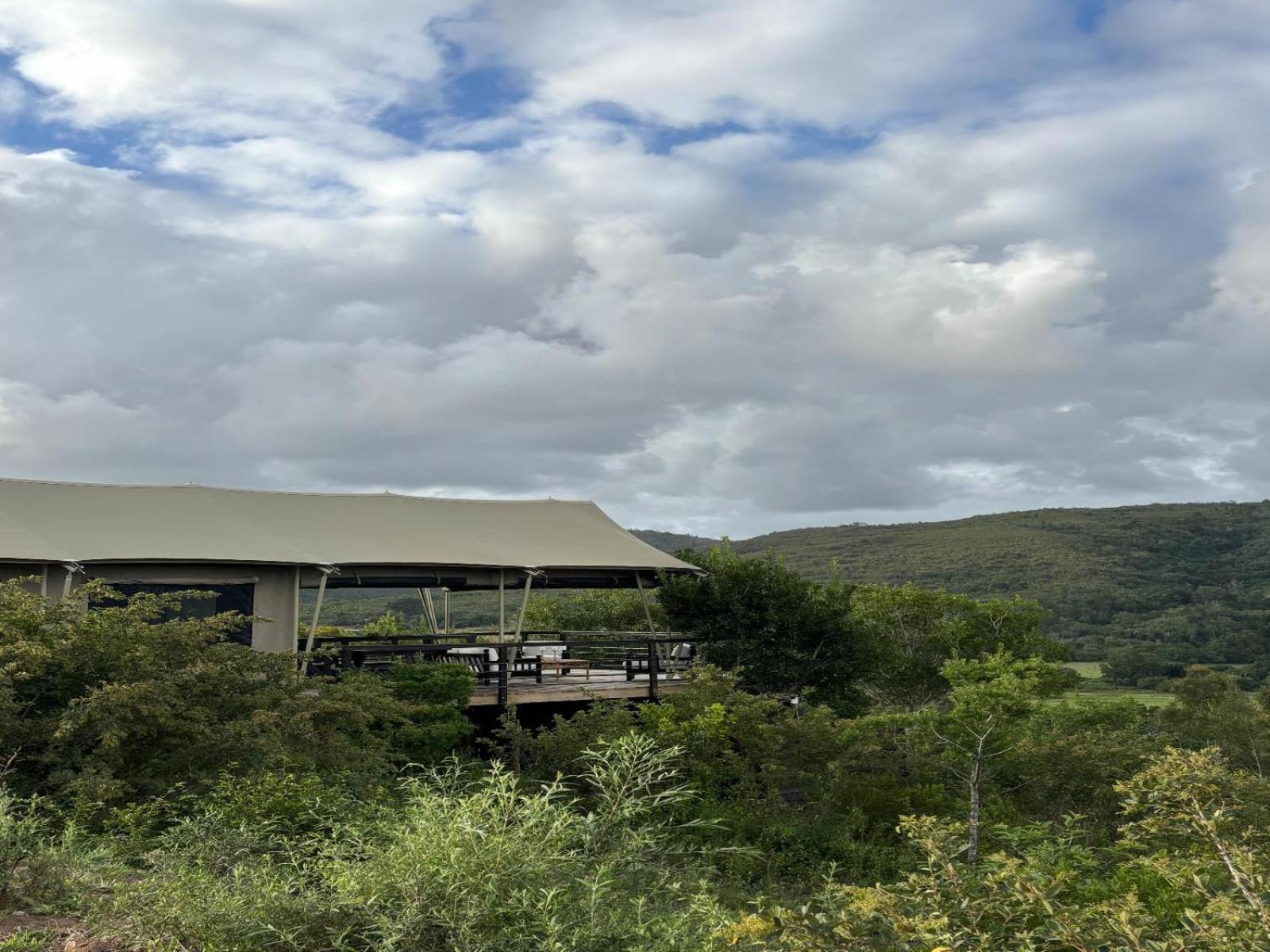 Howberry Hills Plettenberg Bay Quarto foto